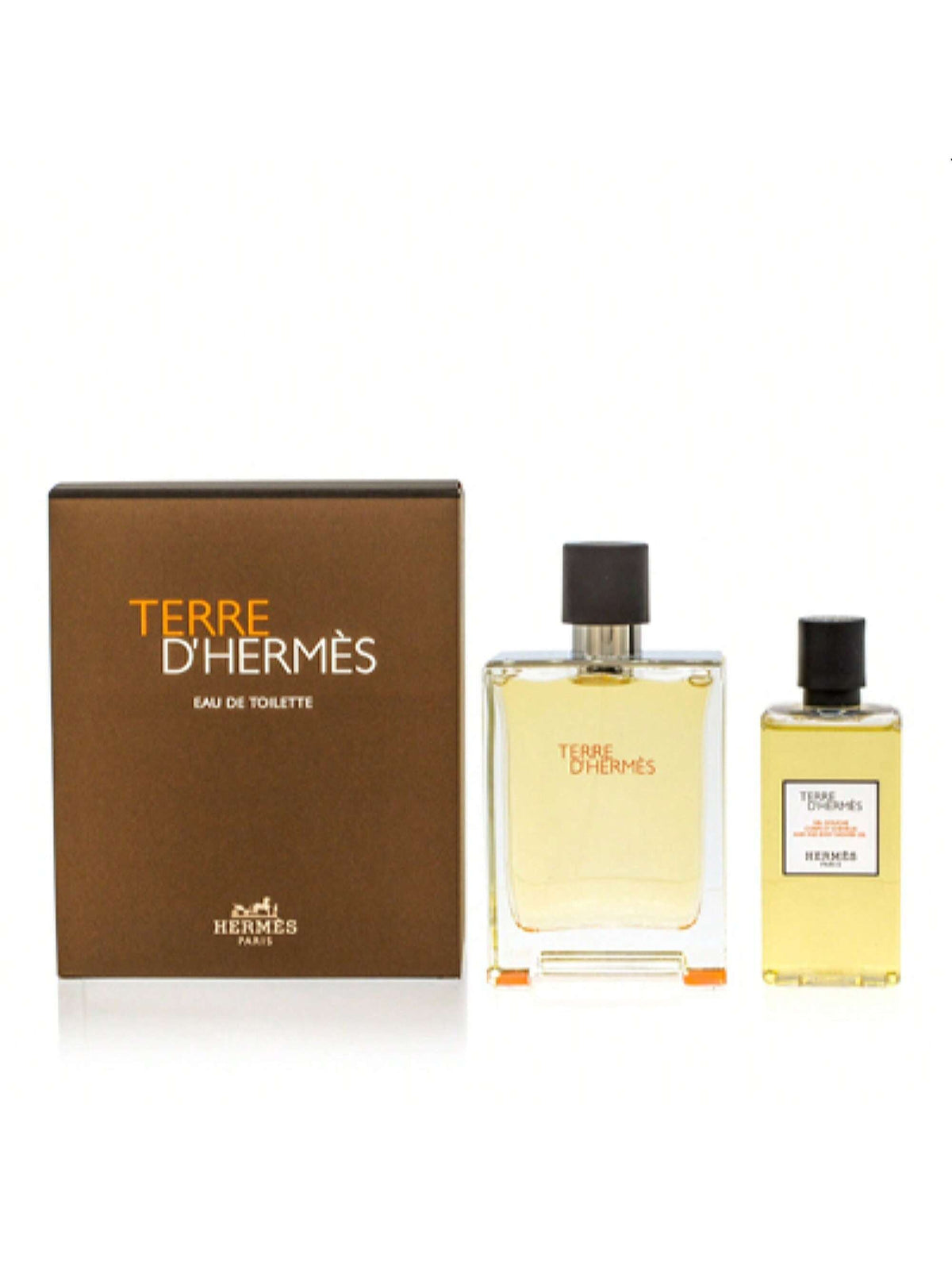 TERRE D'HERMES/HERMES EDT SPRAY 3.3 OZ (100 ML) (M)