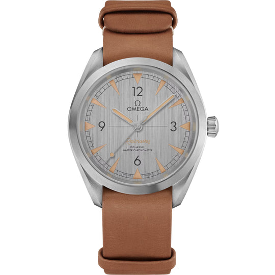 Omega Seamaster Railmaster Men's Grey Dial Automatic Watch 220.12.40.20.06.001