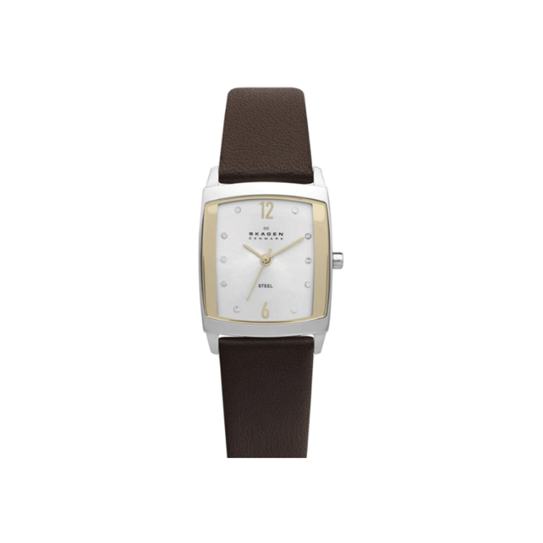 Skagen Women's Silver Dial Two-Tone Brown Leather Quartz Watch 691SSLG