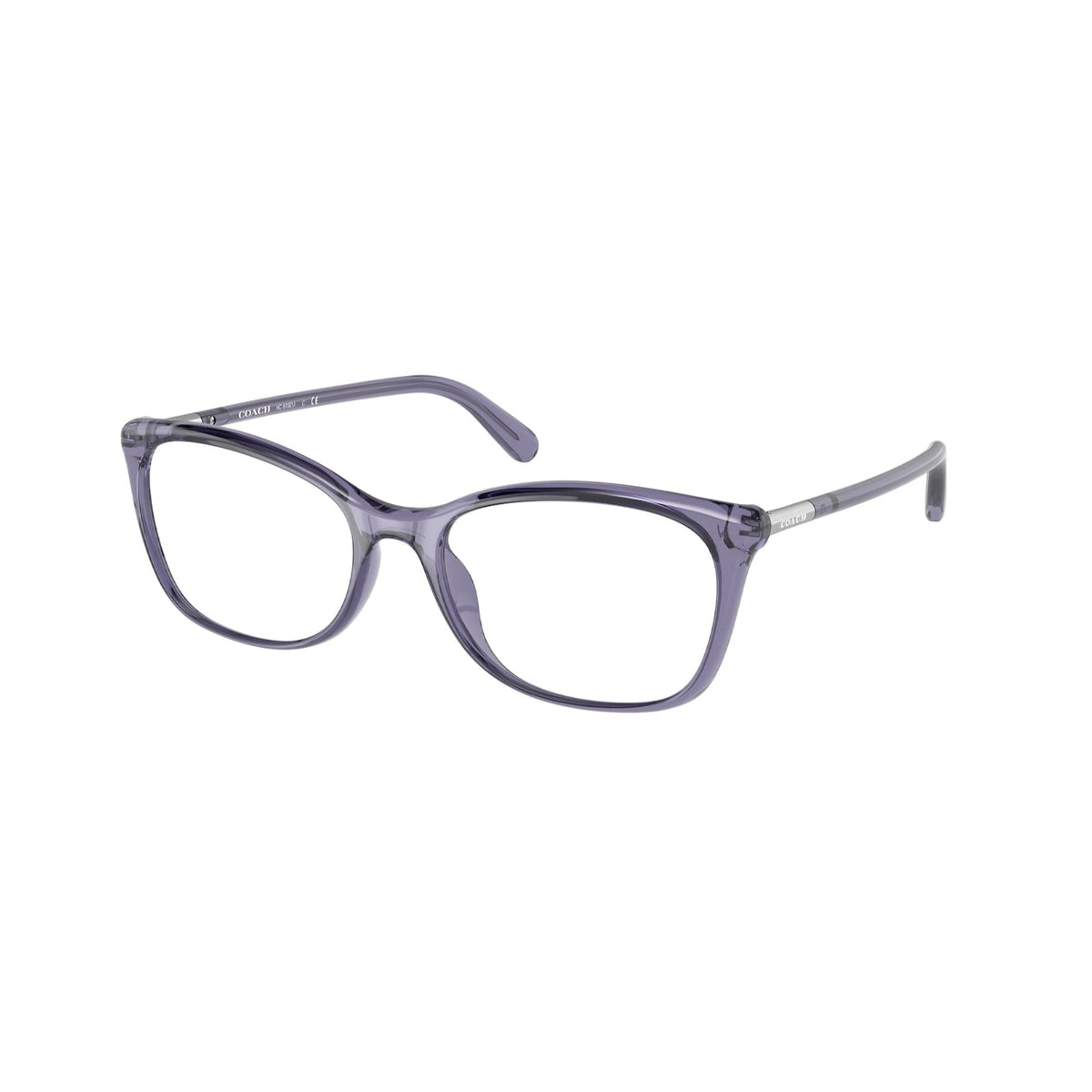 Coach Women's Sunglasses  Violet Demo Lens Plastic Plastic  0HC6192U 5665 52