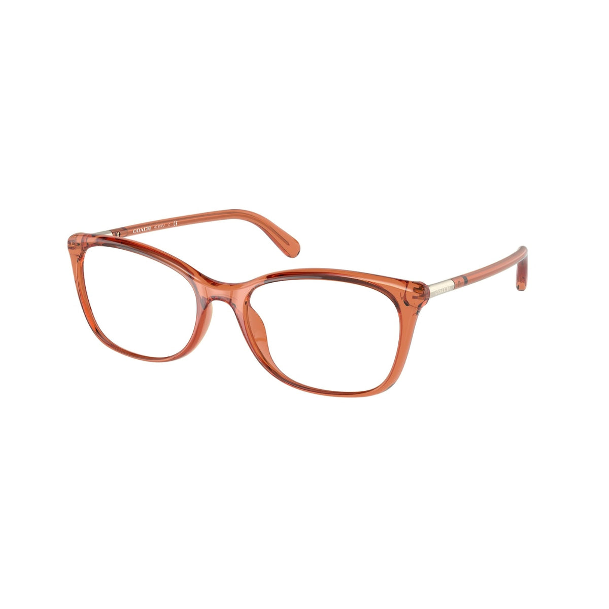 Coach Women&#39;s Sunglasses  Brown Demo Lens Plastic Plastic  0HC6192U 5700 52