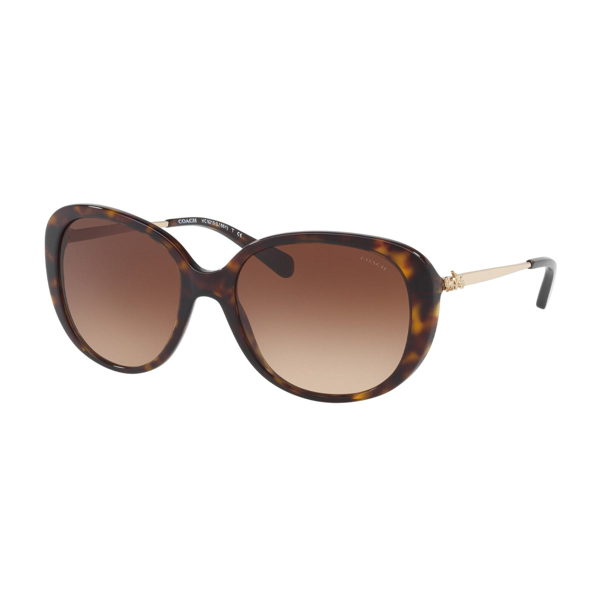 Coach Women's Sunglasses  Havana Brown Gradient Plastic Plastic  0HC8215F 548513 57
