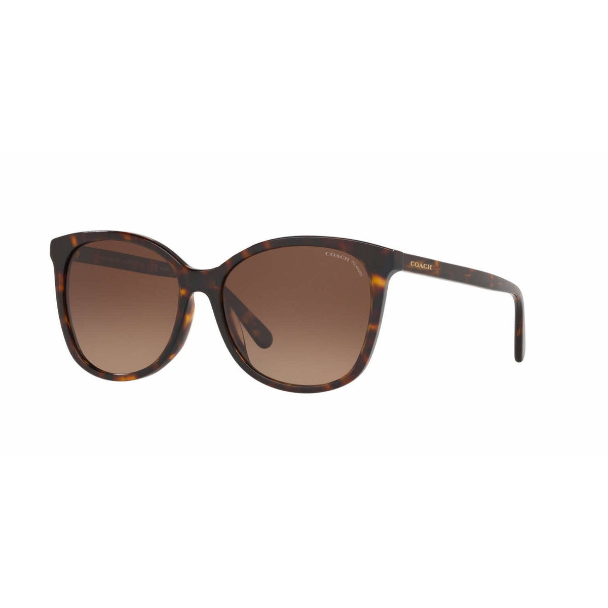 Coach Women's Sunglasses L1101 Havana Dark Brown Gradient Polar Plastic Plastic  0HC8271U 5120T5 57
