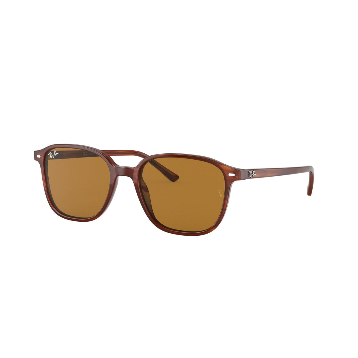 Ray-Ban Unisex Sunglasses Leonard Grey Dark Grey Plastic Plastic  0RB2193F 1314B1 55