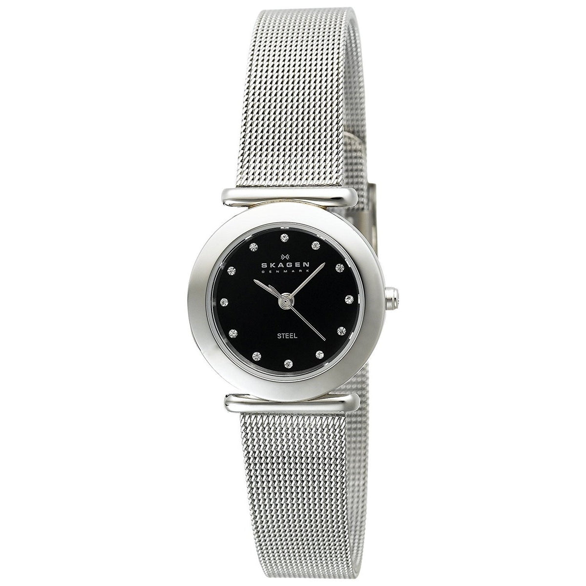 Skagen Women's 107SSSBD Crystal Stainless Steel Watch