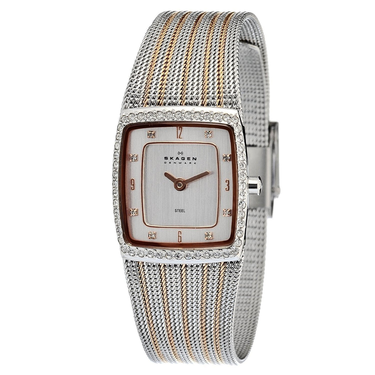 Skagen Women's 384XSRS Crystal Two-Tone Stainless Steel Watch