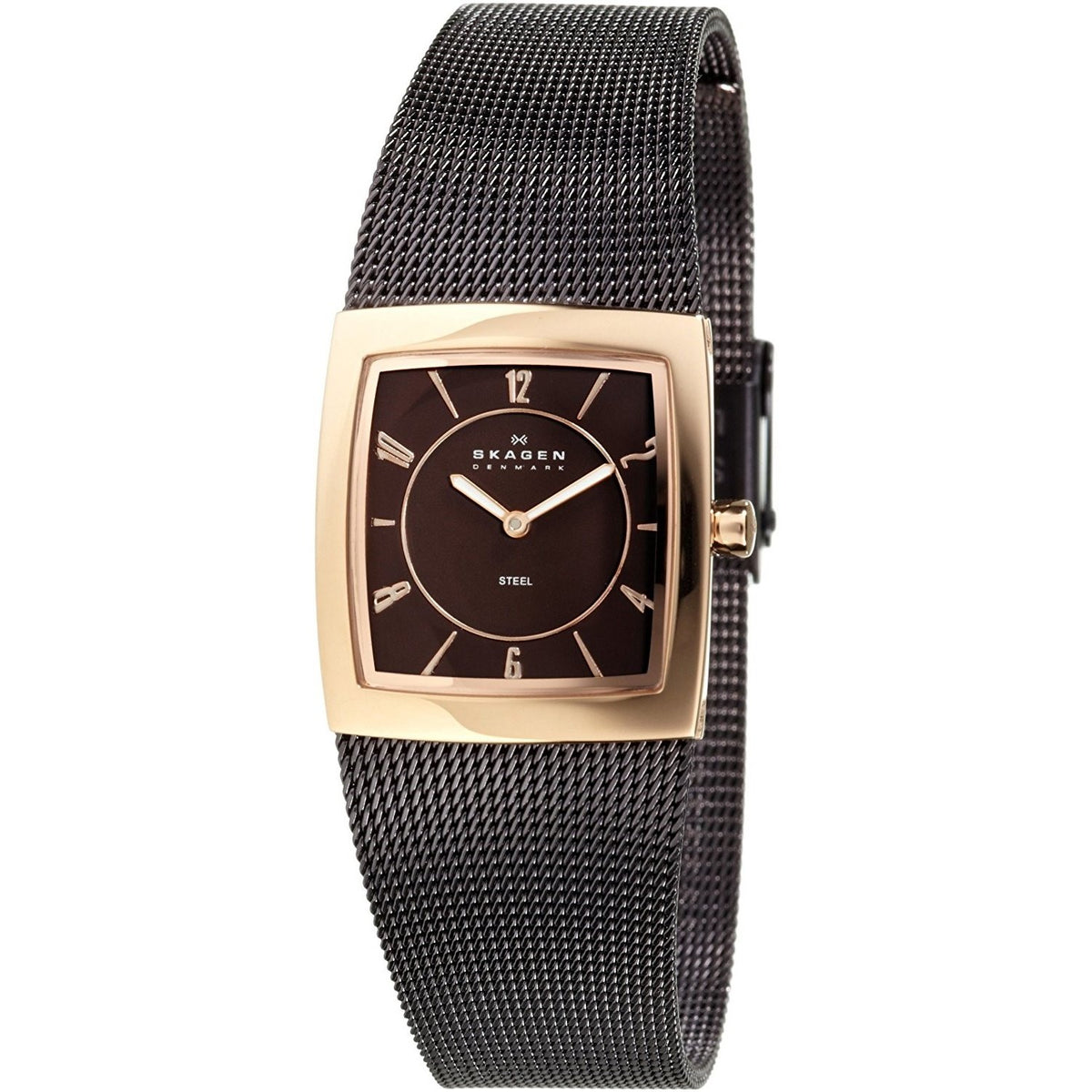 Skagen Women's 563XSRM Classic Brown Stainless Steel Watch