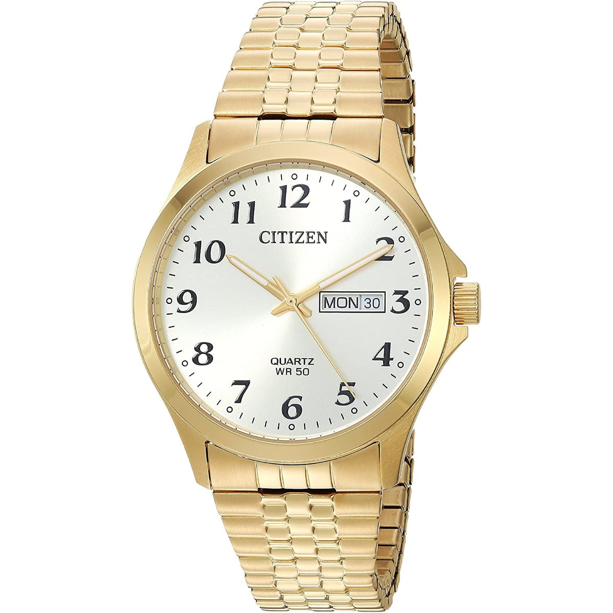 Citizen Men's BF5002-99P Citizen Gold-Tone Stainless Steel Watch