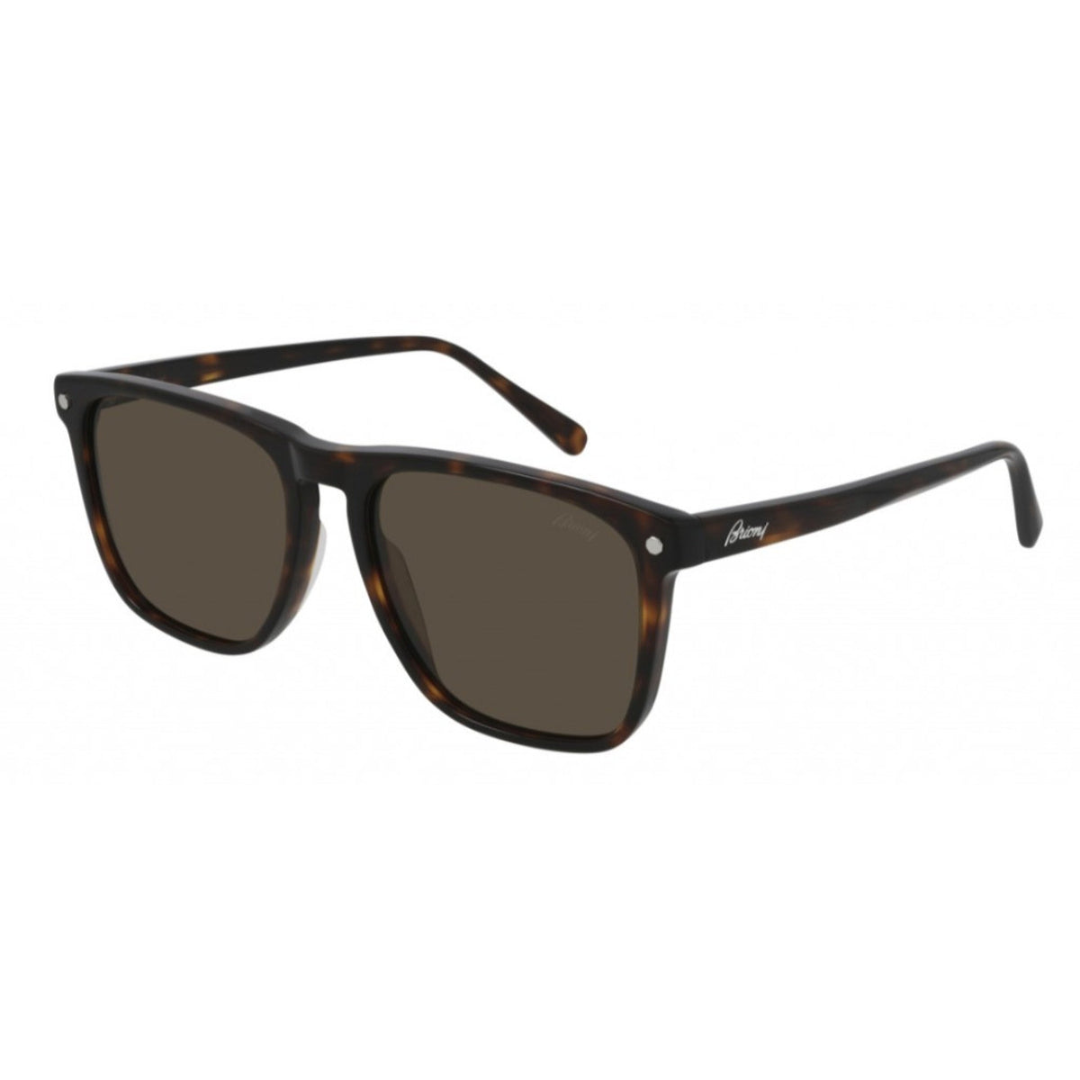 Brioni Men's Sunglasses Spring Summer 2021 Havana Brown Nylon Nylon Shiny BR0086S 002