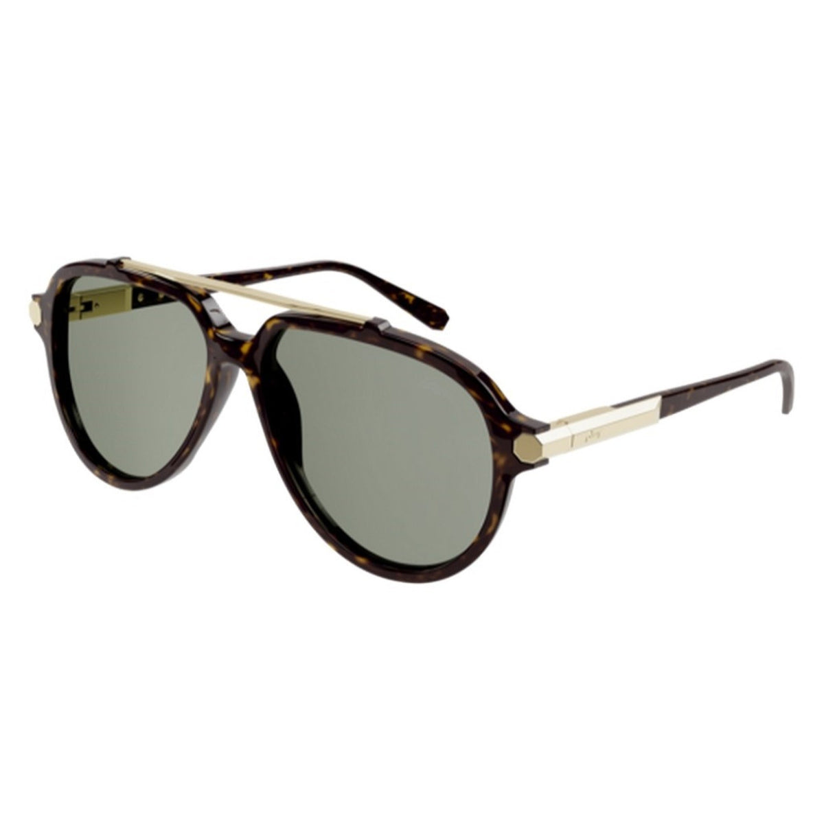 Brioni Men's Sunglasses Fall Winter 2021 Havana Green Nylon Nylon Dark BR0096S 002