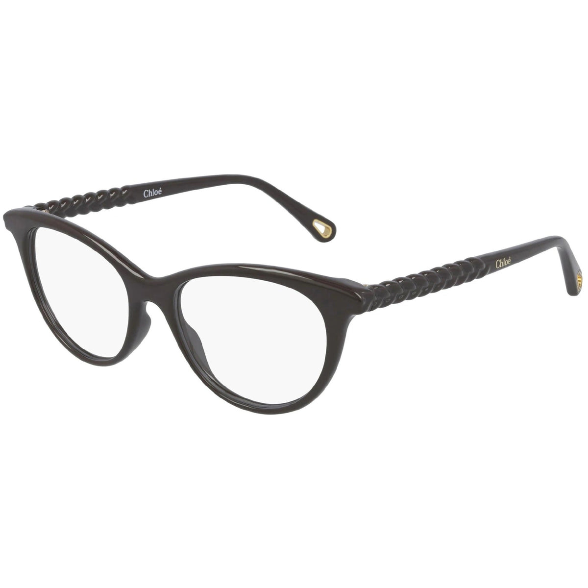 Chloé Women's Sunglasses Spring Summer 2021 Brown Transparent Demo Lens Demo Lens Shiny CH0005O 003