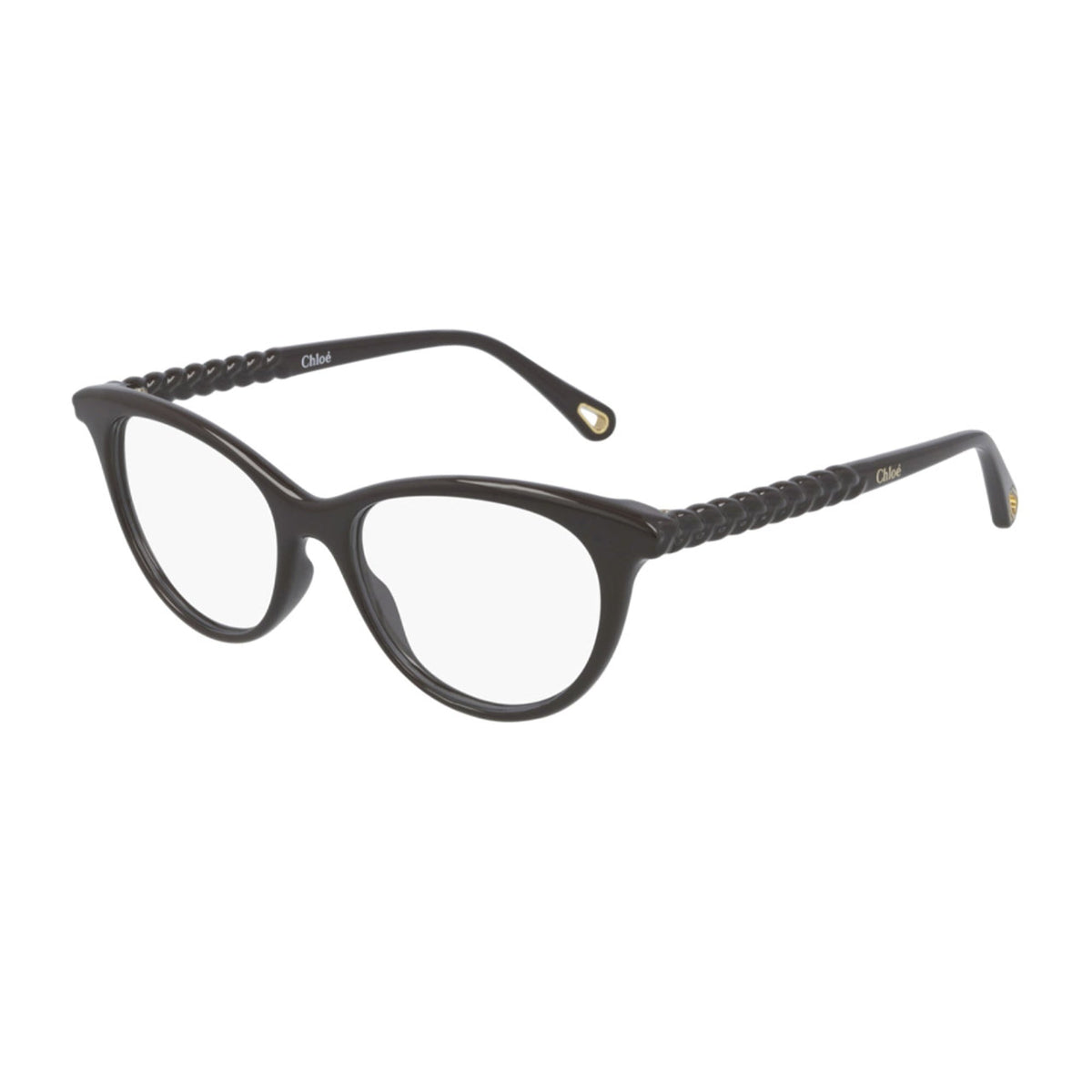 Chloé Women's Sunglasses Spring Summer 2021 Brown Transparent Demo Lens Demo Lens Shiny CH0005O 007