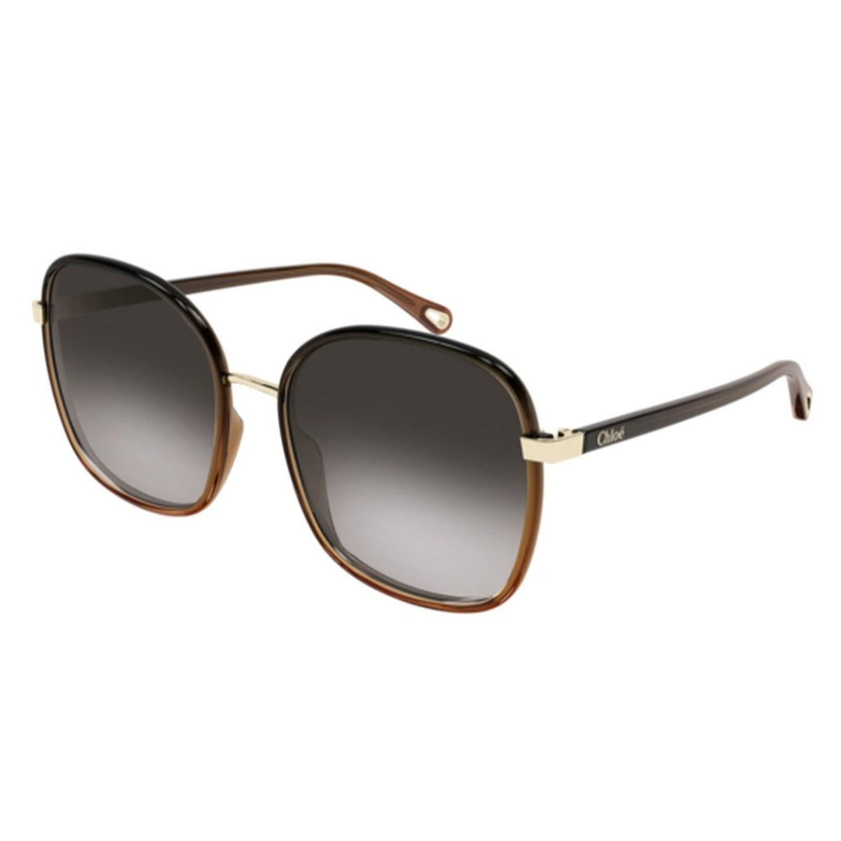 Chloé Women's Sunglasses Fall Winter 2021 Black Grey Nylon Nylon Brown CH0031S 005