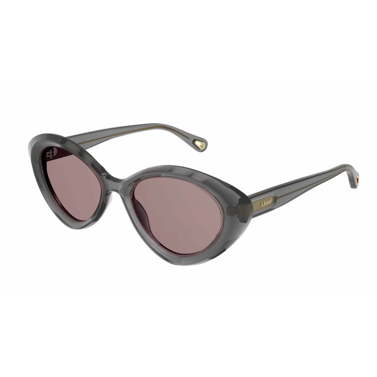 Chloé Women's Sunglasses Fall Winter 2021 GREY Red CR 39 CR 39 Shiny CH0050S 001