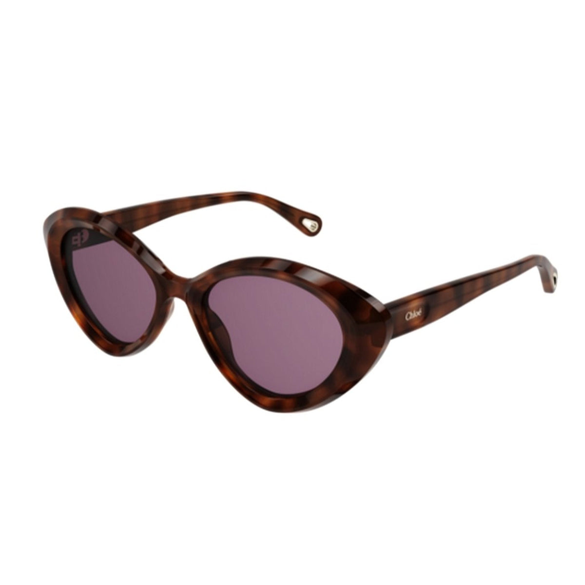 Chloé Women's Sunglasses Fall Winter 2021 Havana Violet CR 39 CR 39 Shiny CH0050S 005