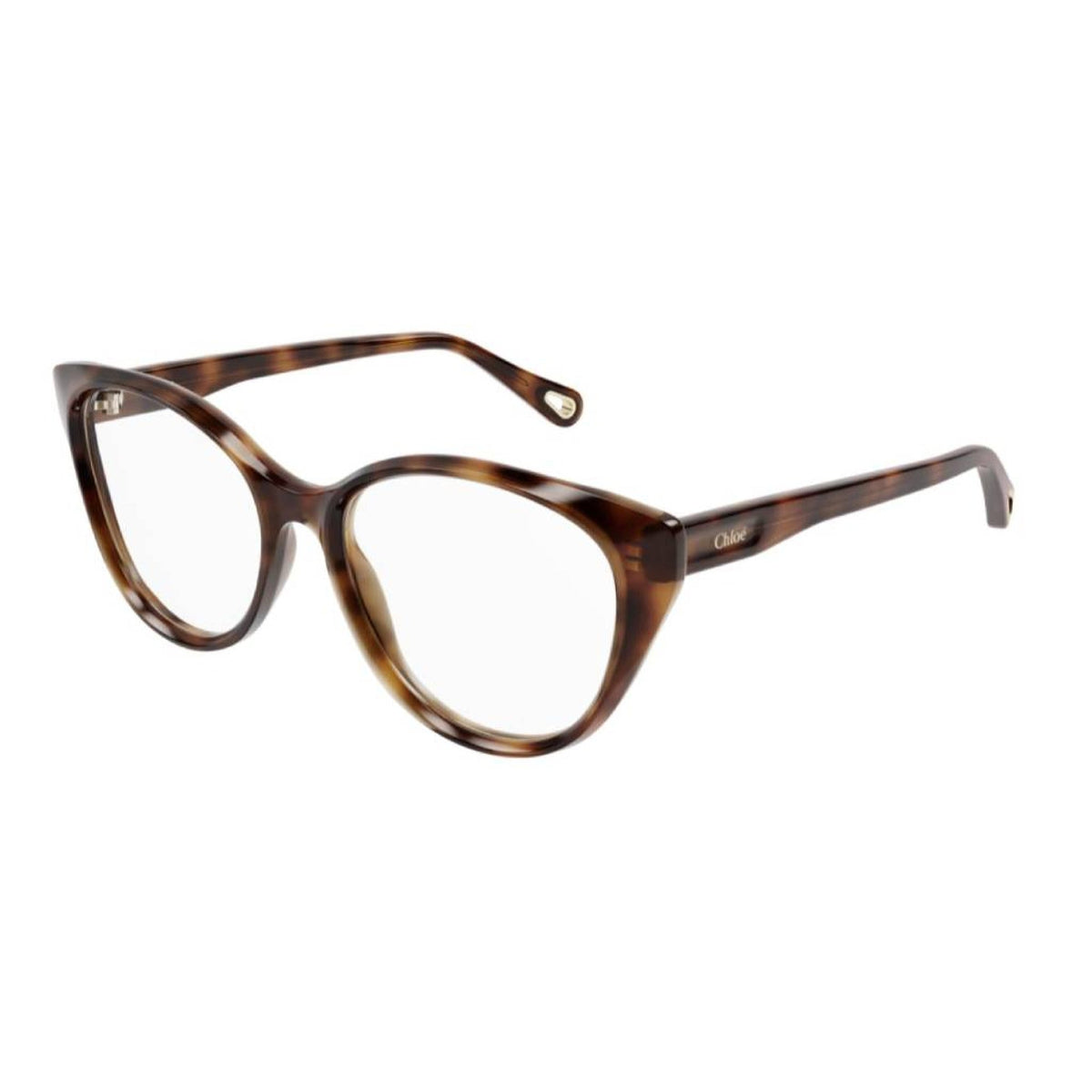 Chloé Women's Sunglasses Fall Winter 2021 Havana Transparent Demo Lens Demo Lens Shiny CH0052O 010