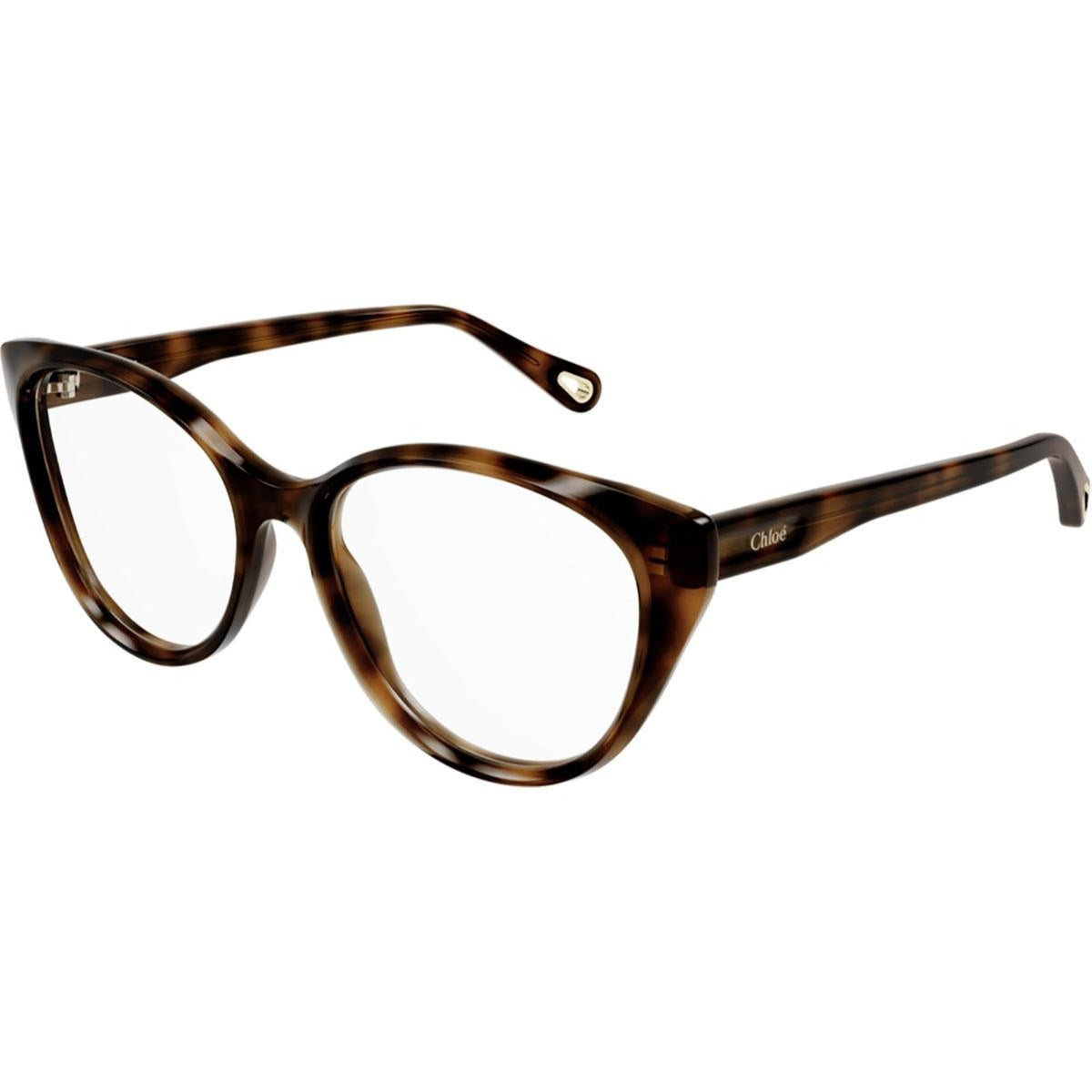 Chloé Women's Sunglasses Fall Winter 2021 Havana Transparent Demo Lens Demo Lens Shiny CH0052OA 005