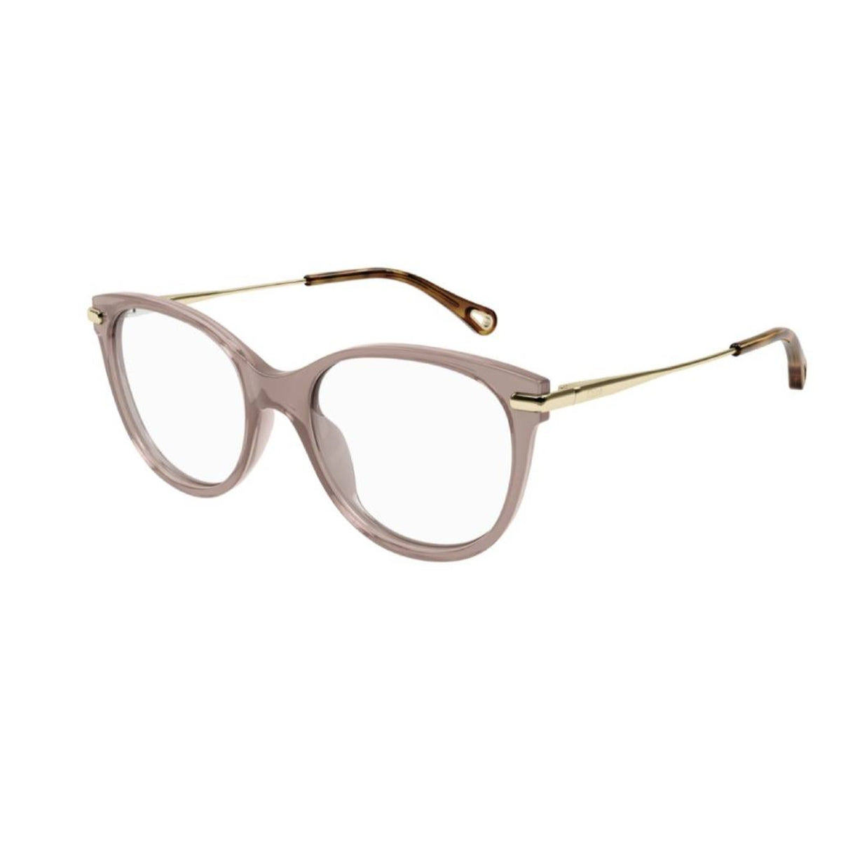 Chloé Women's Sunglasses Fall Winter 2021 Brown Transparent Demo Lens Demo Lens Shiny CH0058O 002