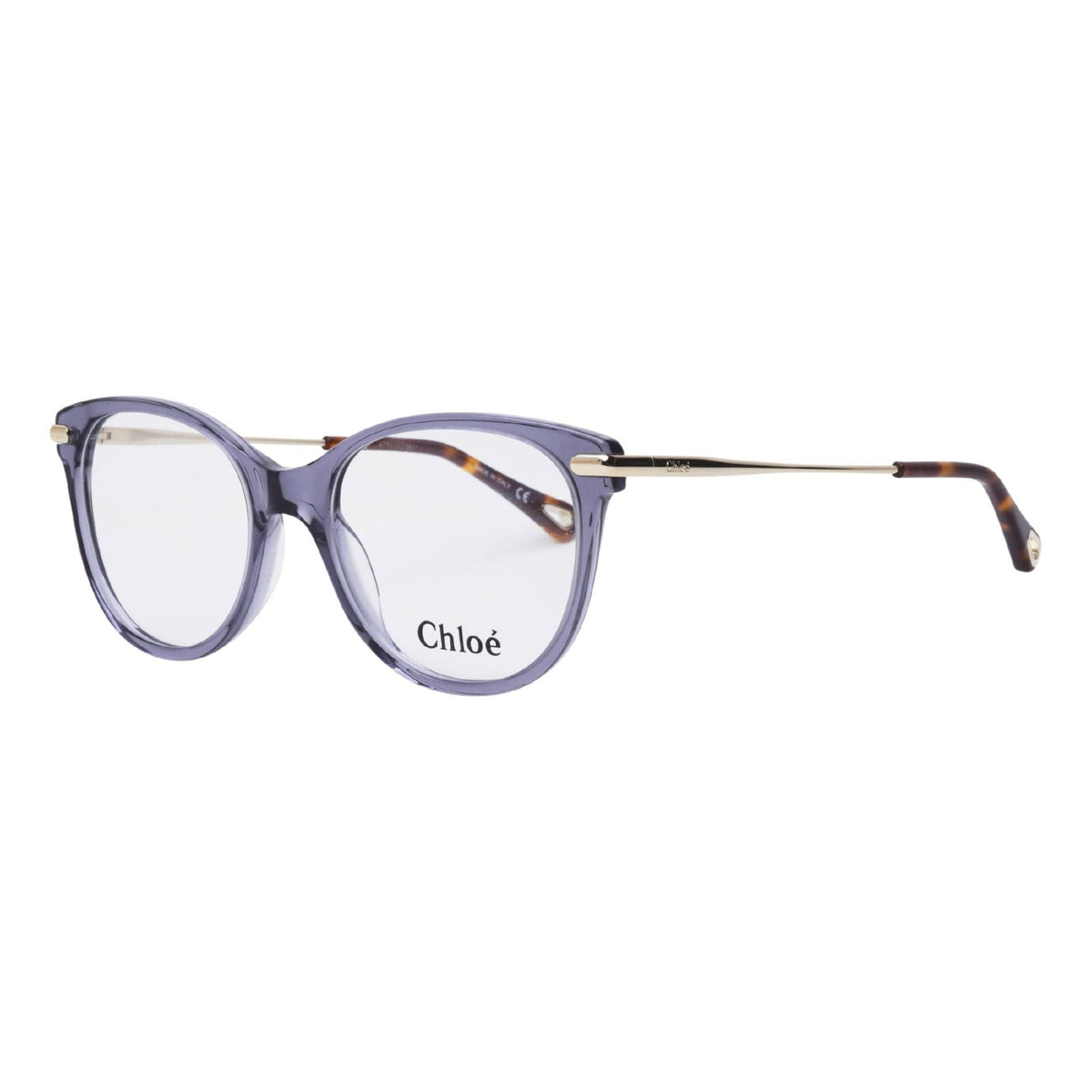 Chloé Women's Sunglasses Fall Winter 2021 Blue Transparent Demo Lens Demo Lens Shiny CH0058O 004