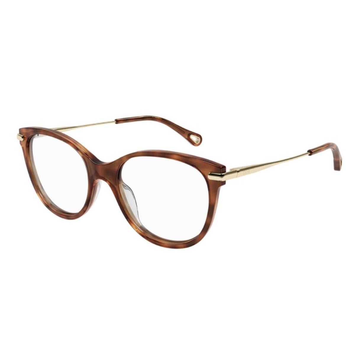 Chloé Women's Sunglasses Fall Winter 2021 Havana Transparent Demo Lens Demo Lens Shiny CH0058O 005