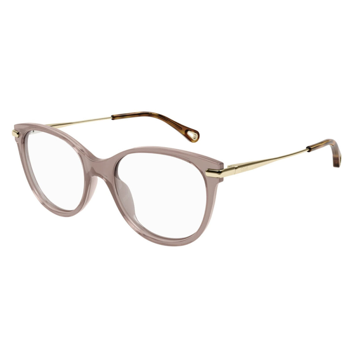 Chloé Women's Sunglasses Fall Winter 2021 Brown Transparent Demo Lens Demo Lens Shiny CH0058O 006