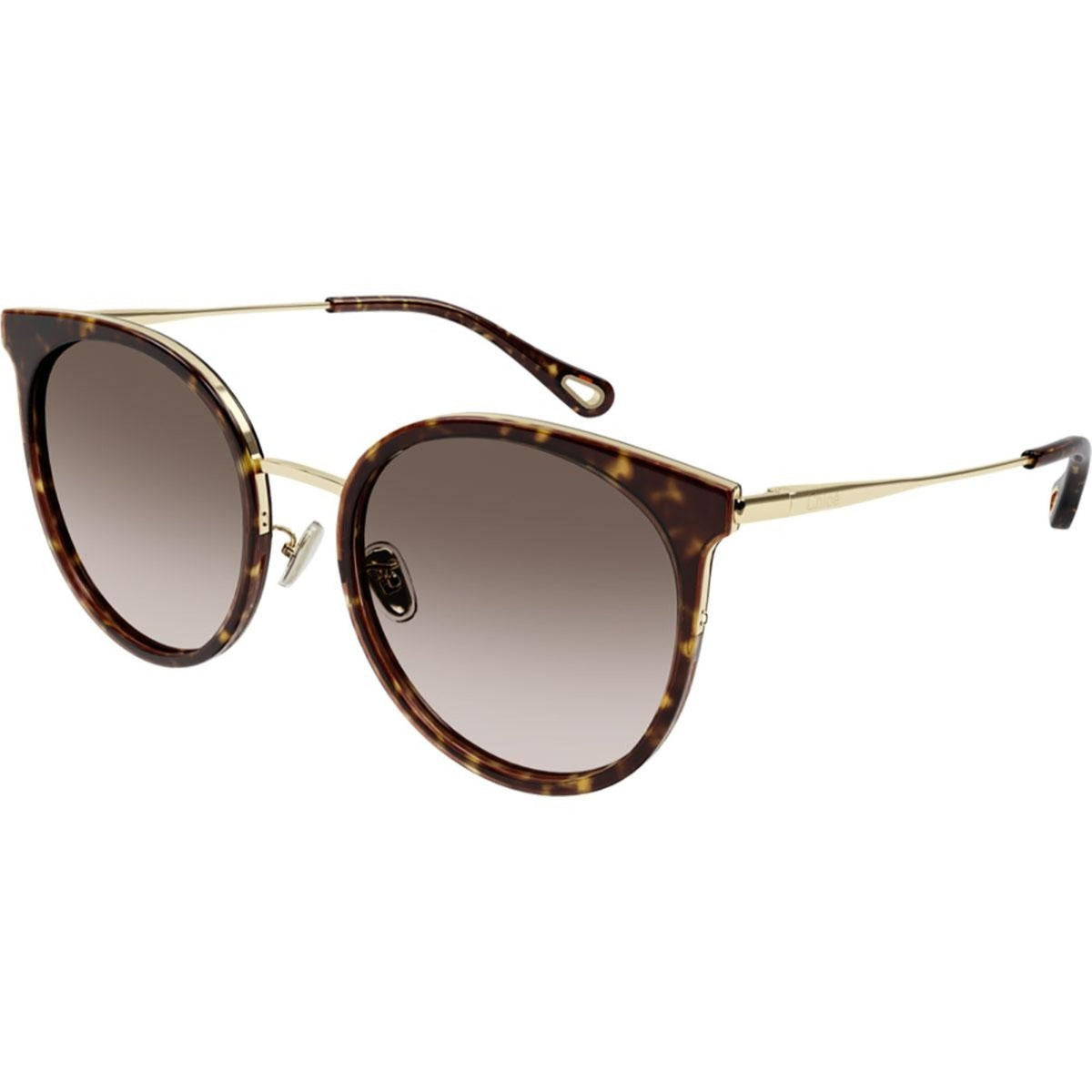 Chloé Women's Sunglasses Fall Winter 2021 Havana Brown Nylon Nylon Havana CH0060SK 002
