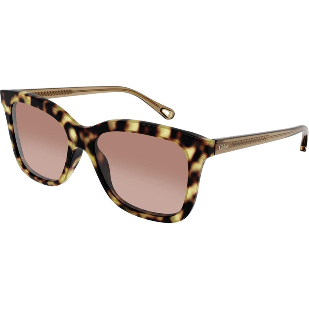 Chloé Women's Sunglasses Fall Winter 2021 Havana Orange CR 39 CR 39 Orange CH0079S 001