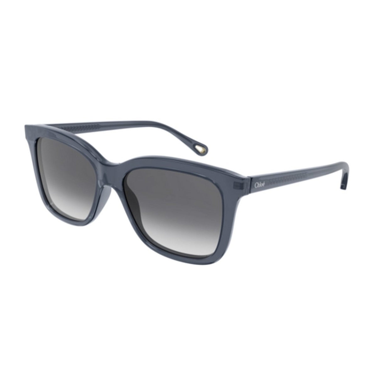 Chloé Women's Sunglasses Fall Winter 2021 Blue GREY Nylon Nylon Transparent CH0079S 003