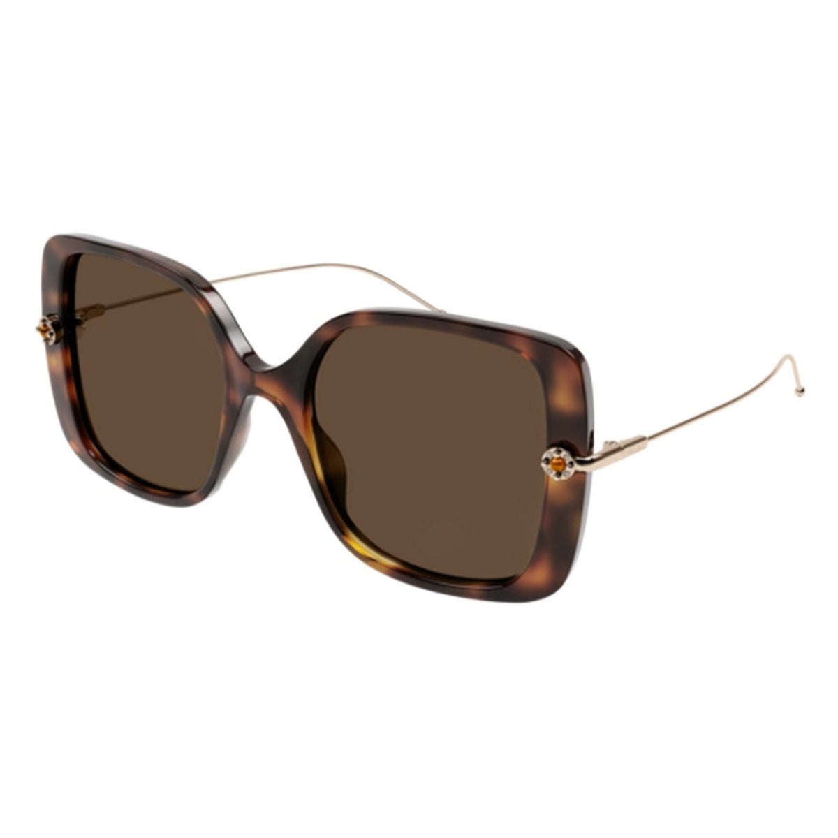 Pomellato Women's Sunglasses Fall Winter 2021 Havana Brown Nylon Nylon Shiny PM0096S 002