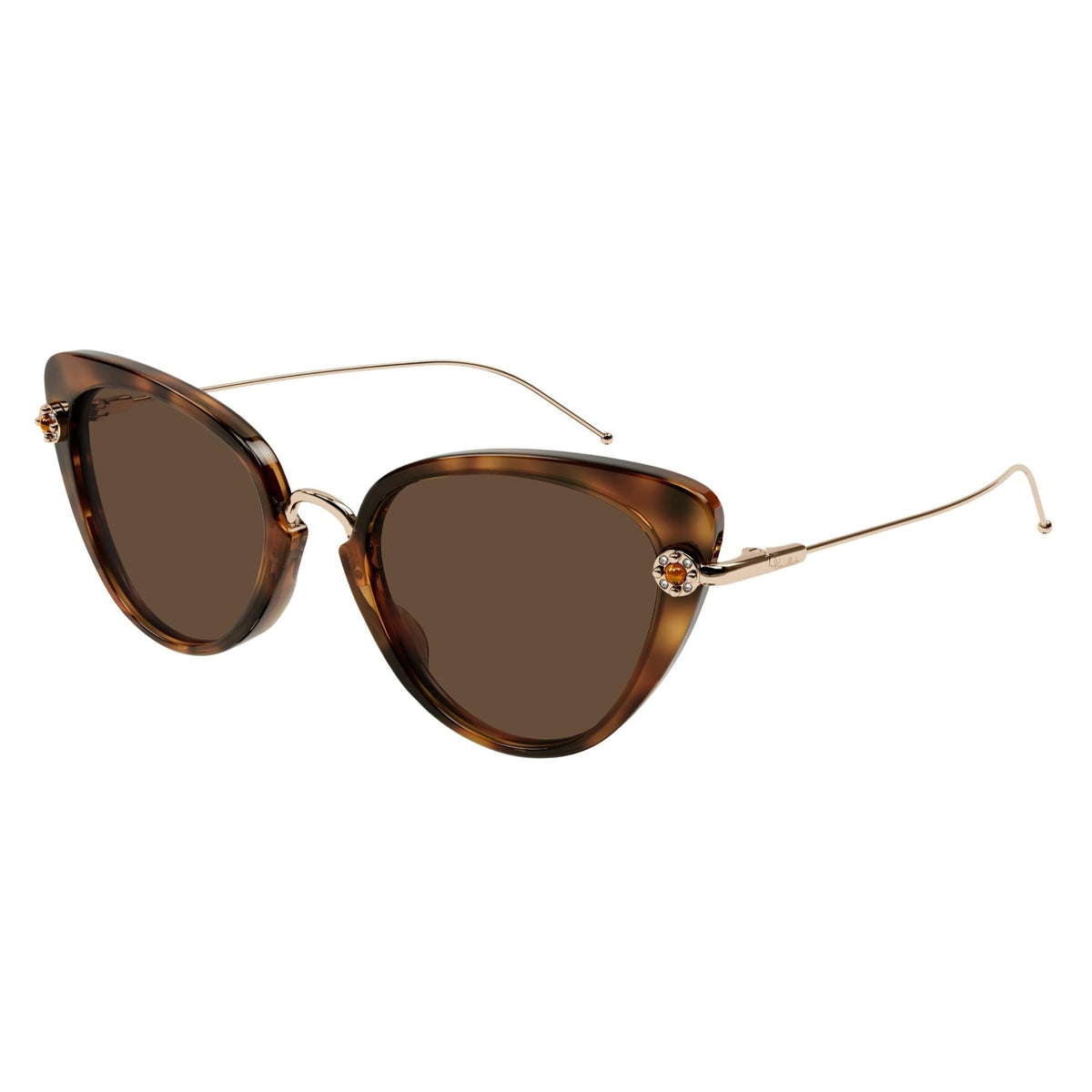 Pomellato Women's Sunglasses Fall Winter 2021 Havana Brown Nylon Nylon Shiny PM0097S 002