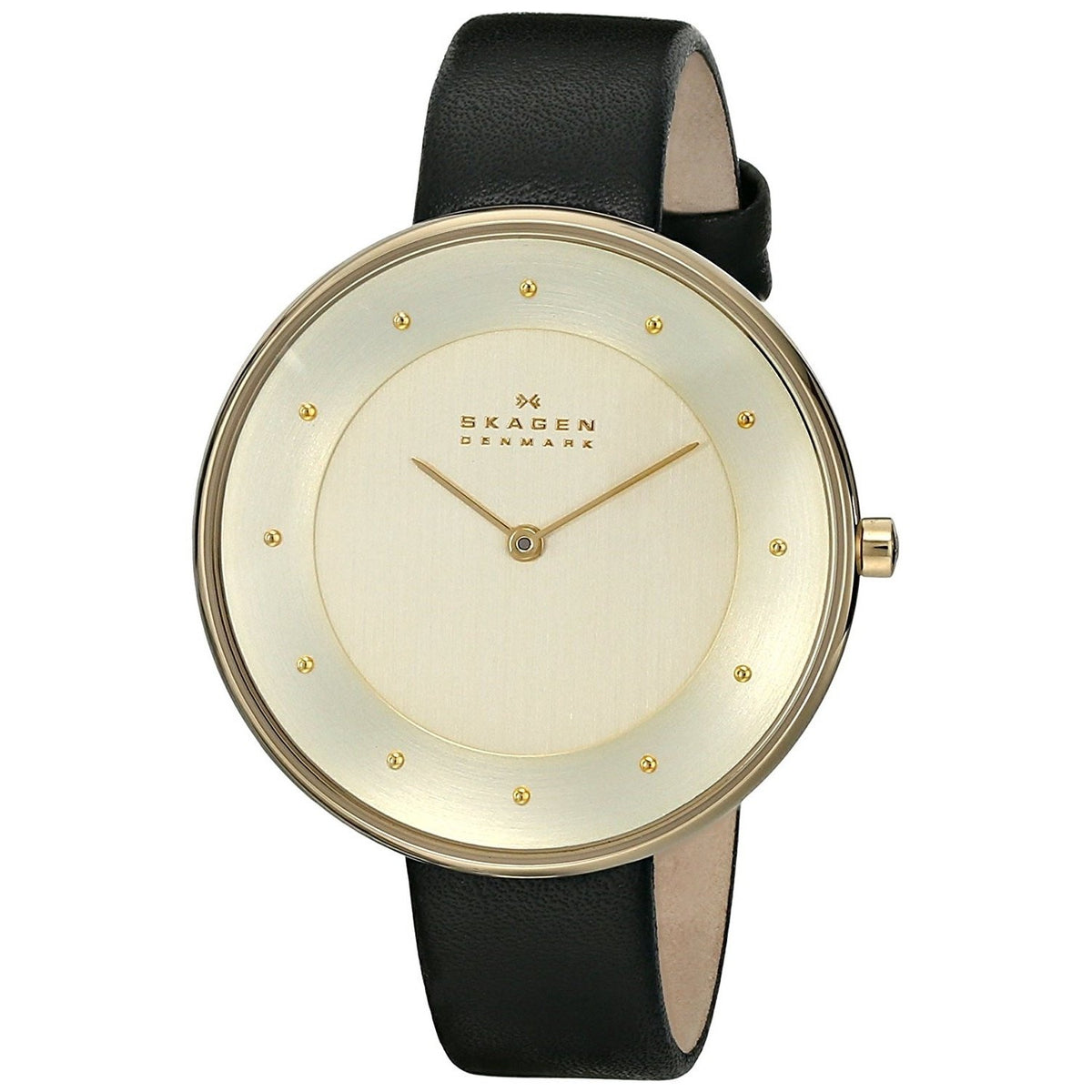 Skagen Women's SKW2262 Gitte Black Leather Watch