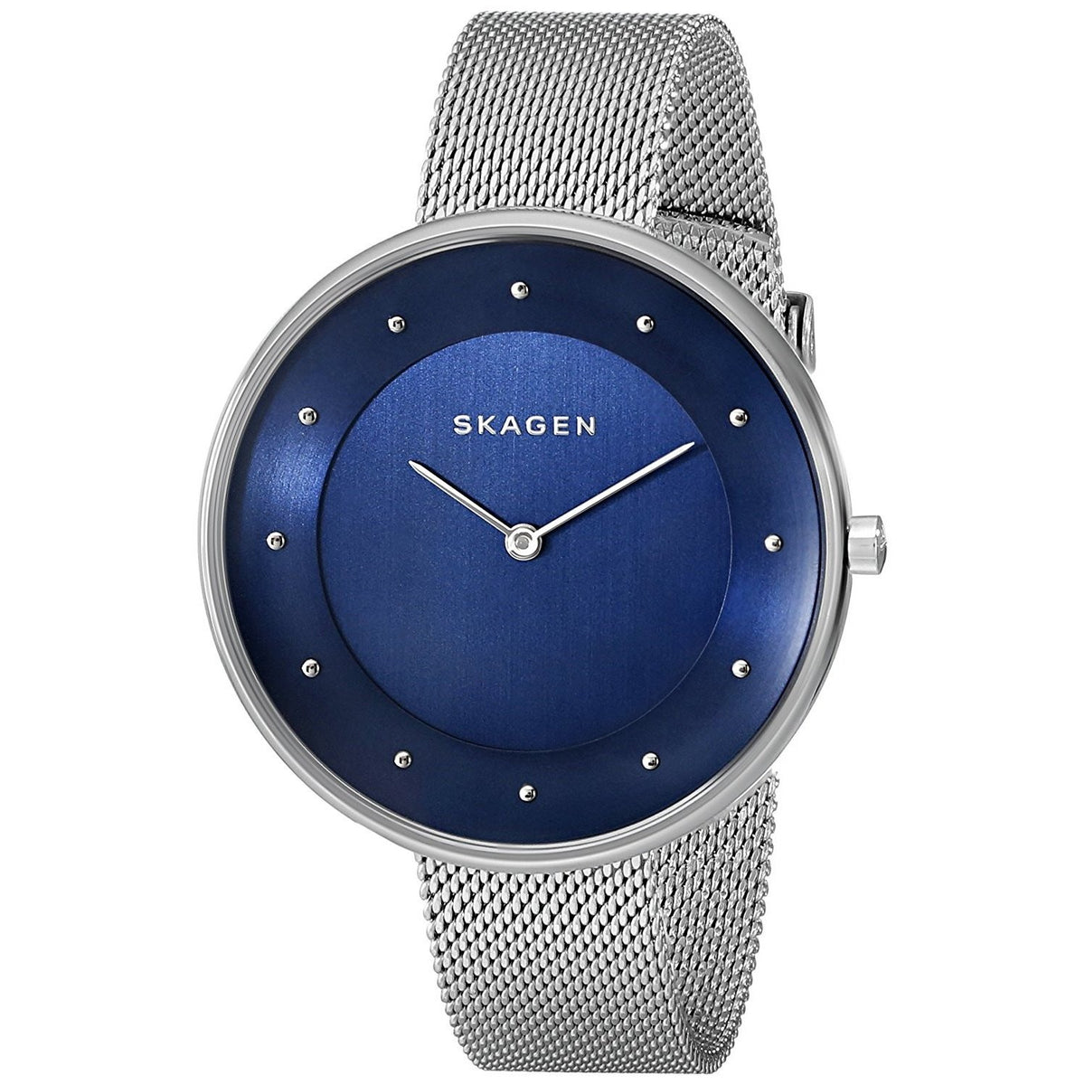 Skagen Women's SKW2293 Gitte Stainless Steel Watch