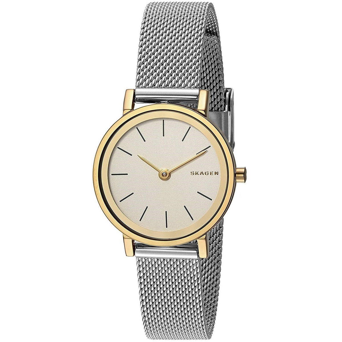 Skagen Women's SKW2445 Hald Stainless Steel Watch