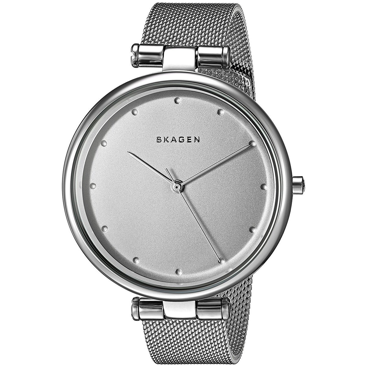 Skagen Women's SKW2485 Tanja Stainless Steel Watch