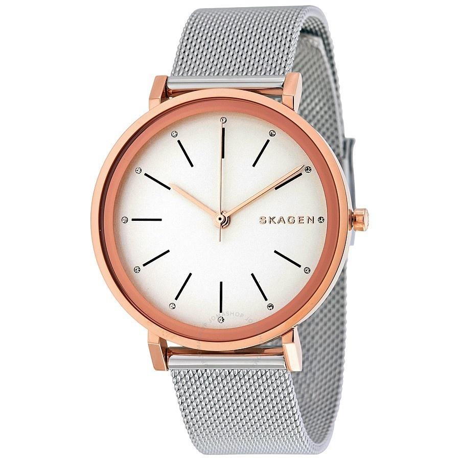 Skagen Women's SKW2506 Hald Stainless Steel Watch