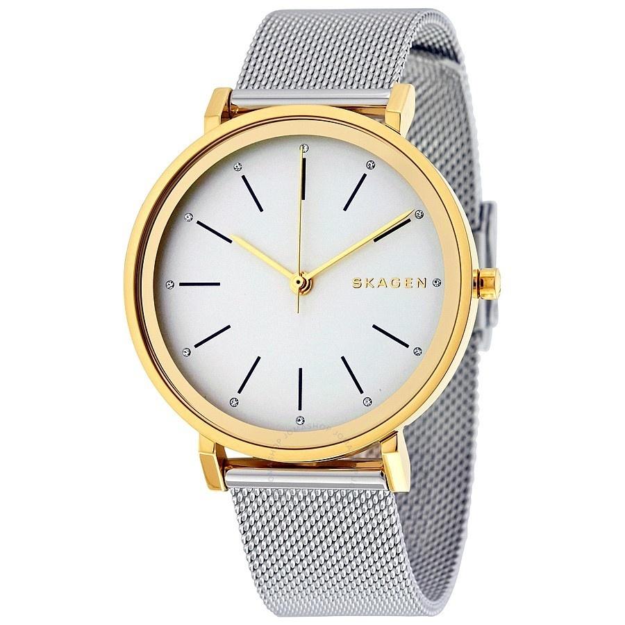 Skagen Women's SKW2508 Hald Stainless Steel Watch