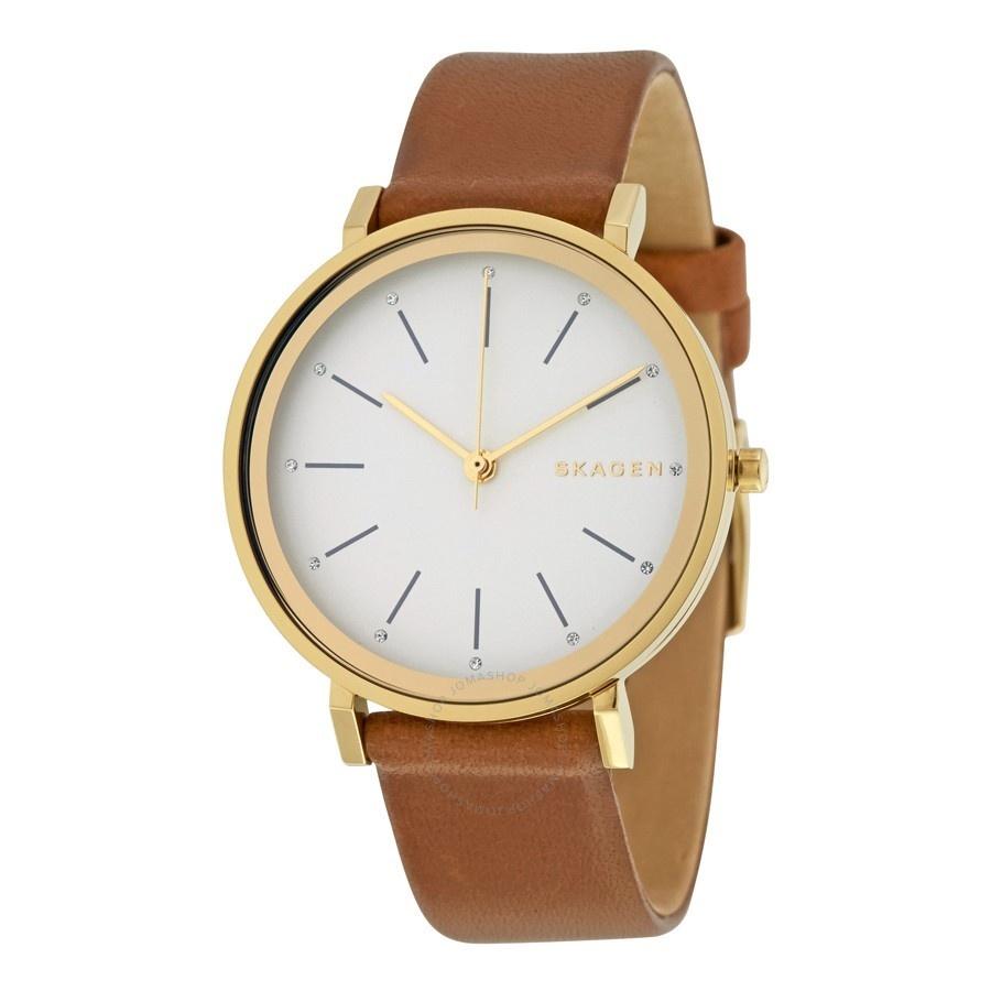 Skagen Women's SKW2512 Hald Brown Leather Watch